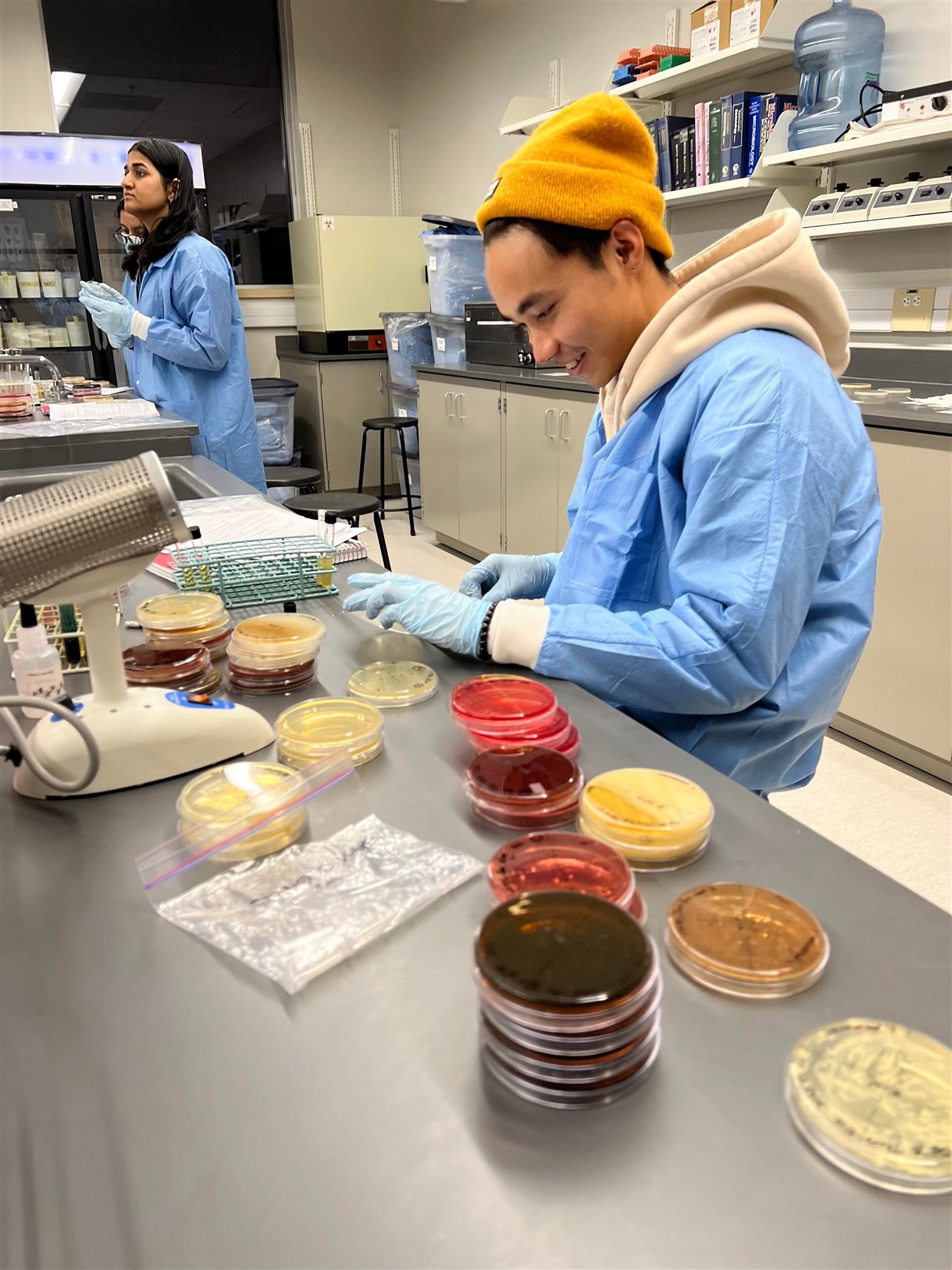 Kiran working with samples in a laboratory.